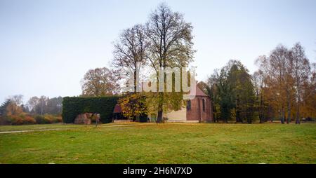 11. November 2021, Brandenburg, Fürstenberg/Havel/OT Himmelpfort: Die teilweise efeubewachsenen Ruinen des Zisterzienserklosters am Ufer des Haussees. Das Kloster 'Coeli Porta (Himmelstor)' wurde im 13. Jahrhundert von Markgraf Albrecht III. Gegründet Die Klosterkirche, eine Brauerei, Bauernhöfe und die Klostermauern sind teilweise erhalten und als Baudenkmäler geschützt. Foto: Soeren Sache/dpa/dpa-Zentralbild Stockfoto