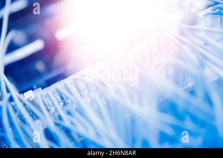 Glasfaser-ethernet-Kabel an der optischen Anschlussschnittstelle des Netzwerk-Switches. Konzept Internet-Rechenzentrum blauer Hintergrund. Stockfoto