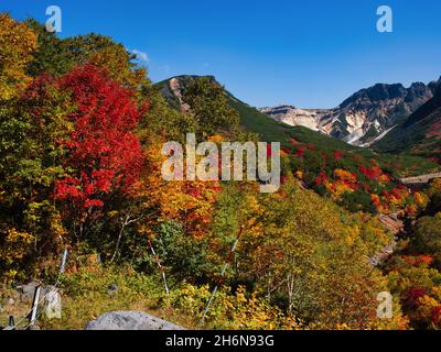 Herbstlaub, Tokachidake Onsen, Hokkaido, Japan Stockfoto