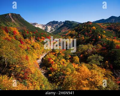 Herbstlaub, Tokachidake Onsen, Hokkaido, Japan Stockfoto