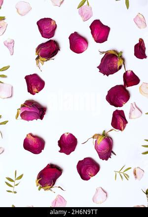 Rahmen aus getrockneten roten Rosen, roten und Rosenblättern und Blättern in Form eines Kreises auf weißem Hintergrund. Flat Lay, Draufsicht Saisonkonzept Stockfoto