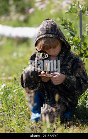 Porträt eines Jungen, der Pilze pflückt. Kind im Camouflage-Anzug und blauen Gummistiefeln sitzt und untersucht Champignon in ihren Händen am Waldrand. Pilz h Stockfoto