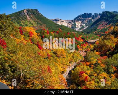 Herbstlaub, Tokachidake Onsen, Hokkaido, Japan Stockfoto