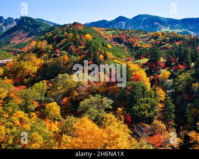 Herbstlaub, Tokachidake Onsen, Hokkaido, Japan Stockfoto