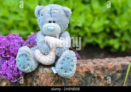 Teddybär-Spielzeug auf einem Stein sitzend Stockfoto