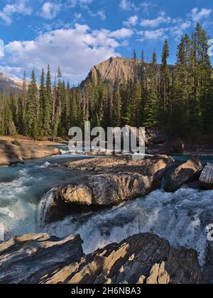 Wunderschöne Aussicht auf den Wildbach, der den Horse River an der Natural Bridge im Yoho National Park, British Columbia, Kanada, in den Rocky Mountains im Herbst abgibt. Stockfoto