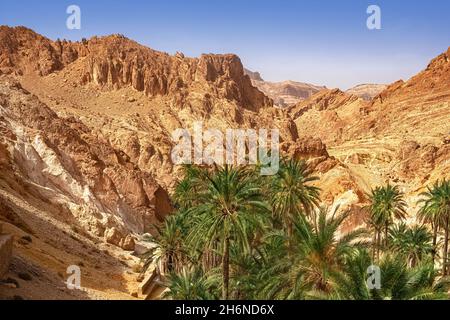 Blick auf die Bergoase von Shebika, mitten in der Sahara-Wüste, Tunesien Stockfoto