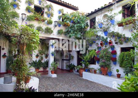 Die Höfe von Cordoba in Spanien, mit dem Festival der Höfe („Patios“) von Cordoba (zum Weltkulturerbe erklärt), bei dem die am Wettbewerb teilnehmenden Eigentümer ihre Höfe der Öffentlichkeit zugänglich machen. Es ist möglich, die Höfe in Córdoba das ganze Jahr über zu besuchen. Stockfoto