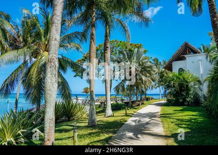 Tropisches Resort Hotel, Strandparadies. Sommerurlaub an der Küste. Herrlicher Panoramablick auf den schönen Strand. Luxusurlaub auf der Insel Mauritius. Palmen mit blauem Himmel. Hochwertige Fotos Stockfoto