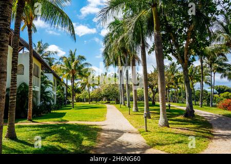 Tropisches Resort Hotel, Strandparadies. Sommerurlaub an der Küste. Herrlicher Panoramablick auf den schönen Strand. Luxusurlaub auf der Insel Mauritius. Palmen mit blauem Himmel. Hochwertige Fotos Stockfoto