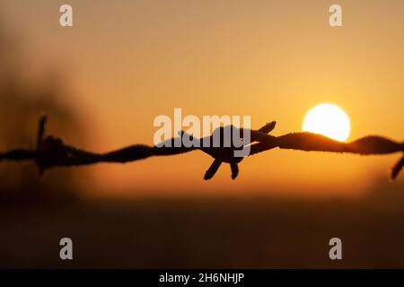 Wunderschöner orangefarbener Sonnenuntergang mit einer Nahaufnahme von Stacheldraht. Ländliche Landschaft Detail mit Metalldraht Zaun Makro. Abstrakte Landschaft mit Sonnenuntergang Stockfoto