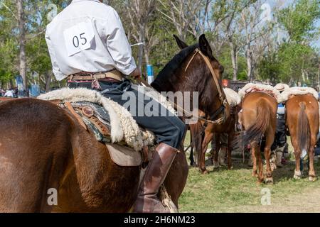 Argentinischer Gaucho in kreolischen Geschicklichkeitsspielen in Patagonien Argentinien Stockfoto