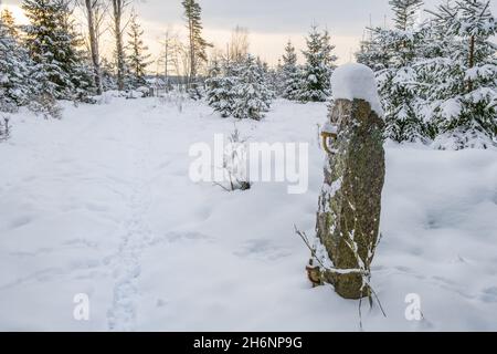 Torpfosten mit Schnee im Wald Stockfoto