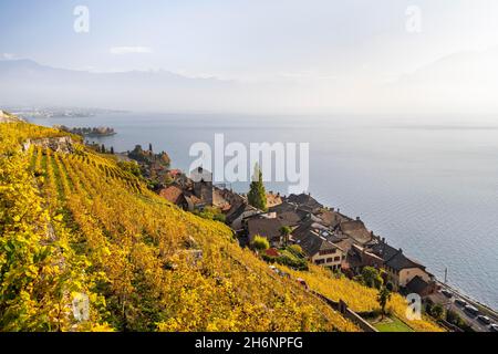 Weinberge im Herbst, Blick auf den Genfer See und das Weinbaudorf Saint-Saphorin, UNESCO-Weltkulturerbe Lavaux, Waadt, Schweiz Stockfoto