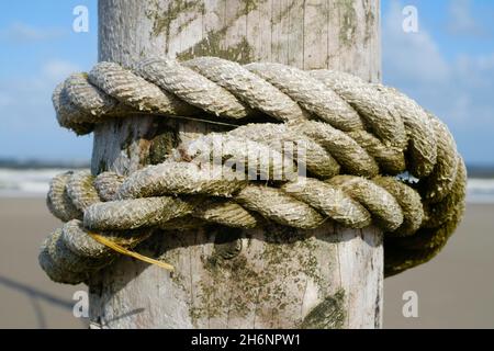 Seil um Holzpfahl gebunden, Nordseeküste, Wangerooge, Ostfriesische Insel, Ostfriesland, Niedersachsen, Deutschland Stockfoto