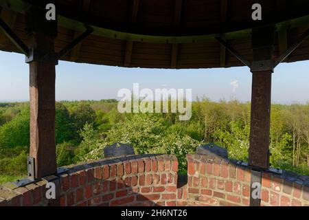 Blick vom Römerturm, Tagebau Hambach, Jülich, Nordrhein-Westfalen, Römerturm, Sophienhoehe, Deutschland Stockfoto