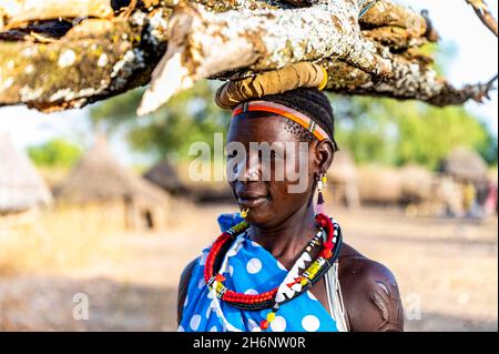 Frau, die Brennholz auf dem Kopf trägt, Toposa-Stamm, Eastern Equatoria, Südsudan Stockfoto