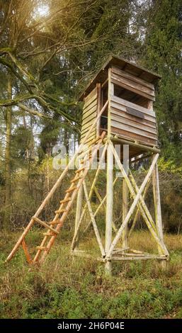 Holzhirsche und Wildschweine jagen Turm im Wald. Stockfoto