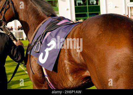 Atmosphäre und Nervenkitzel eines Tages bei den Rennen mit der Menge und den Pferden Stockfoto