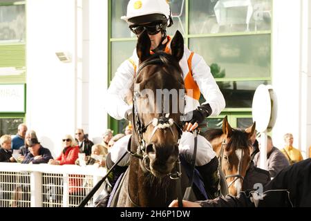 Atmosphäre und Nervenkitzel eines Tages bei den Rennen mit der Menge und den Pferden Stockfoto