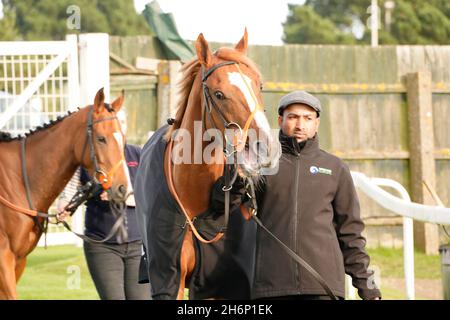 Atmosphäre und Nervenkitzel eines Tages bei den Rennen mit der Menge und den Pferden Stockfoto