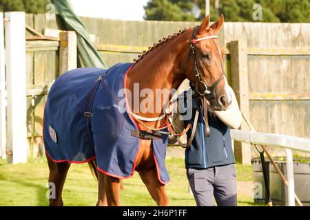 Atmosphäre und Nervenkitzel eines Tages bei den Rennen mit der Menge und den Pferden Stockfoto