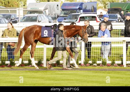 Atmosphäre und Nervenkitzel eines Tages bei den Rennen mit der Menge und den Pferden Stockfoto