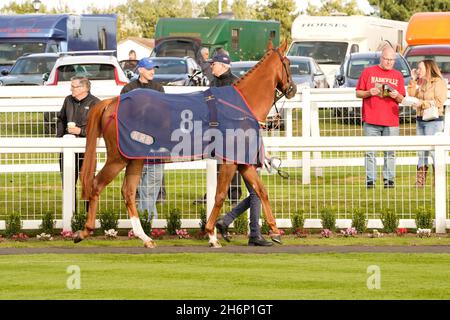Atmosphäre und Nervenkitzel eines Tages bei den Rennen mit der Menge und den Pferden Stockfoto