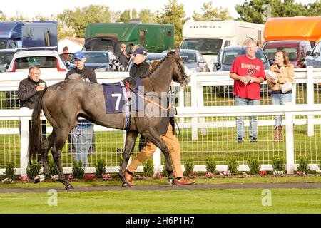 Atmosphäre und Nervenkitzel eines Tages bei den Rennen mit der Menge und den Pferden Stockfoto