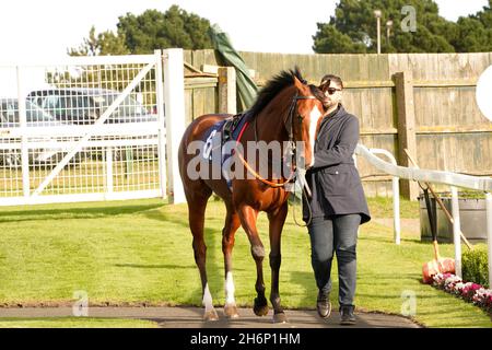 Atmosphäre und Nervenkitzel eines Tages bei den Rennen mit der Menge und den Pferden Stockfoto
