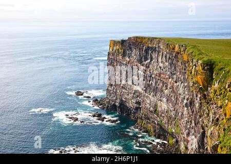 Diese majestätischen hohen Klippen befinden sich im Vorgebirge von Latrabjarg, dem westlichsten Punkt Islands - Heimat von Millionen von Vögeln, sie sind Europas größte Vogelklippe Stockfoto