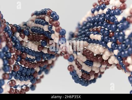 Ein Modell eines sequenzierten Musters aus rot-blauen und cremefarbenen Atomkugeln im DNA-Stil auf einem isolierten Hintergrund - 3D-Rendering Stockfoto