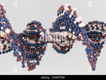 Ein Modell eines sequenzierten Musters aus rot-blauen und cremefarbenen Atomkugeln im DNA-Stil auf einem isolierten Hintergrund - 3D-Rendering Stockfoto