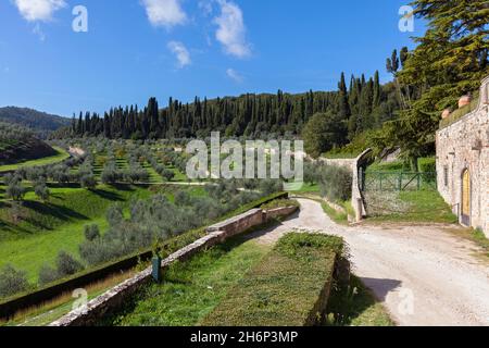 Europa, Toskana, San Donato in Collina, toskanische Landschaft in der Nähe des Eingangs zur Fattoria Torre a Cona Wine Resort Stockfoto