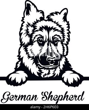 Deutscher Schäferhund Peeking Dog - Kopf isoliert auf weißem - Vektorstock Stock Vektor