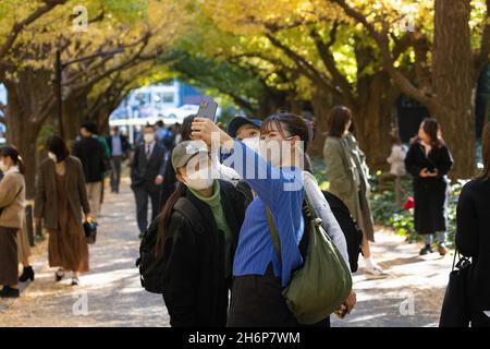 Tokio, Japan. November 2021. Besucher der Jingu Gaien Ginkgo Avenue machen ein Selfie unter den Ginkgo-Bäumen.der Wechsel der Jahreszeiten hat einen besonderen Platz in der japanischen Kultur. Wie die Kirschblüte im Frühling ist auch der sogenannte 'Kouyo' (im Herbst färben sich die Blätter) bei den Japanern sehr beliebt. (Foto: Stanislav Kogiku/SOPA Images/Sipa USA) Quelle: SIPA USA/Alamy Live News Stockfoto