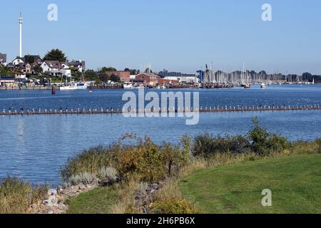 Heringszaun in der Stadt Kappeln ist ein einmaliges Dokument des Fischfangs in der Schlei. Es ist der letzte noch funktionstüchtige Heringszaun Stockfoto