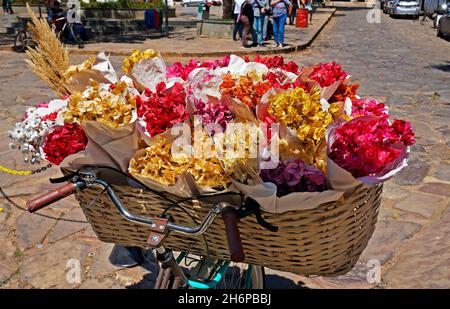 Getrocknete Blumen in Fahrradkorb, Tiradentes, Brasilien Stockfoto