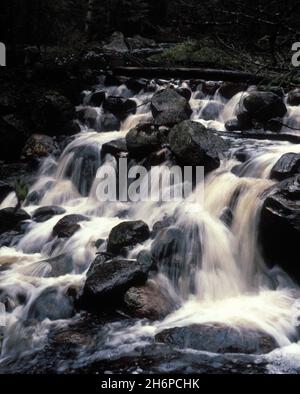 Wasserfall, Stromschnellen in einem kleinen Bach, Bach im Jahr 1980, analog. Wasser fließt zwischen den Steinen, Felsen. Woodland. Stockfoto