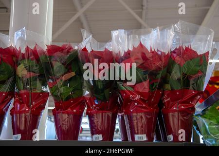 Taplow, Buckinghamshire, Großbritannien. November 2021. Weihnachtsgeschenke zum Verkauf. Sainsbury's Supermarket war heute gut mit weihnachtlichen Speisen und Getränken ausgestattet. Frühere Probleme in der Lieferkette auf dem Lebensmittel- und Getränkemarkt in England nach dem Brexit scheinen sich zu lockern, ohne dass offensichtliche Panikkäufe auftauen. Quelle: Maureen McLean/Alamy Stockfoto