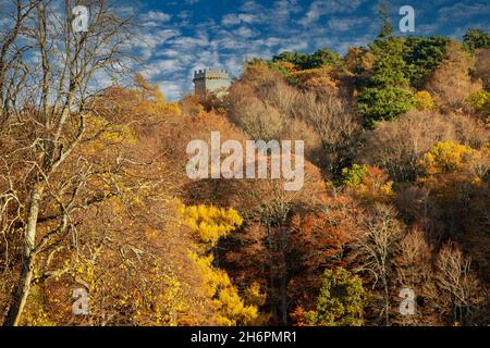 FORRES MORAY SCOTLAND GRANT PARK DER NELSON-TURM IST VON BUNTEN HERBSTBLÄTTERN UMGEBEN Stockfoto