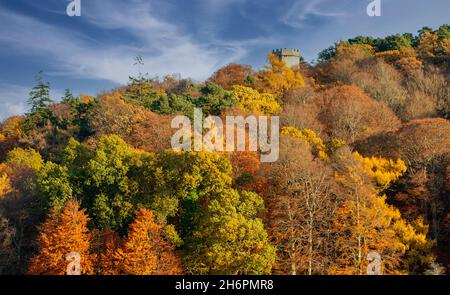 FORRES MORAY SCOTLAND GRANT PARK DER NELSON-TURM IST VON HERBSTLICH BUNTEN BAUMBLÄTTERN UMGEBEN Stockfoto