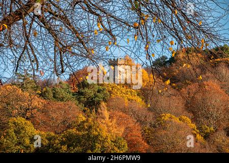 FORRES MORAY SCOTLAND NELSON TURM, UMGEBEN VON BUNTEN HERBSTBLÄTTERN Stockfoto