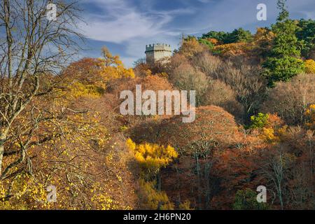 FORRES MORAY SCHOTTLAND DER NELSON RAGT ÜBER EINEN BLAUEN HIMMEL UND HERBSTLICH BUNTE BÄUME Stockfoto