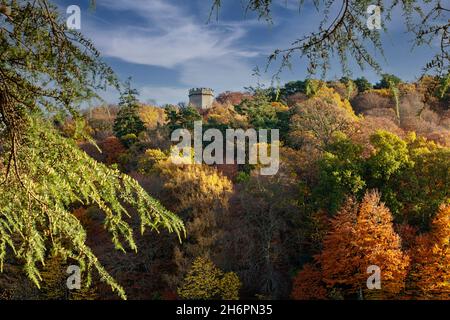 FORRES MORAY SCHOTTLAND DIE SPITZE DES NELSON-TURMS IST VON FARBENFROHEN HERBSTBÄUMEN UMGEBEN Stockfoto