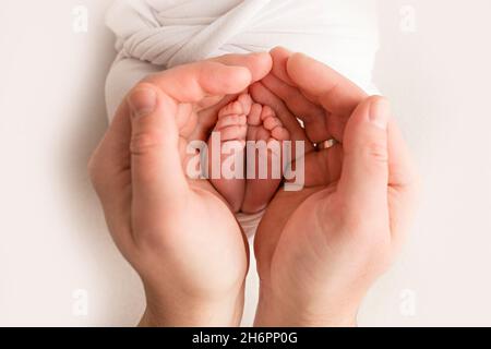 Beine, Zehen, Füße und Fersen eines Neugeborenen. Mit den Händen der Eltern, Vater, Mutter hält sanft die Beine des Kindes. Makrofotografie, Nahaufnahme. Stockfoto