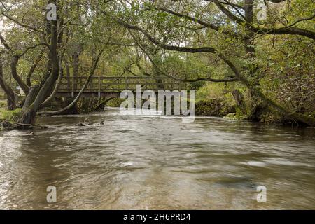 Hölzerne Fußgängerbrücke über den Fluss Dove bei Dovedale im Peak District, Aufnahme im Herbst am 4. November 2021. Stockfoto