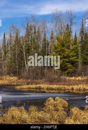 Tauende Feuchtgebiete im Chequamegon National Forest im Norden von Wisconsin. Stockfoto