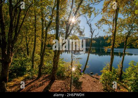 Herbst auf dem Lochan Trail, Glencoe, Westhochland Stockfoto