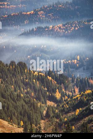 Luftaufnahme eines nebligen Wetters über mit Bäumen bedeckten Bergen Stockfoto